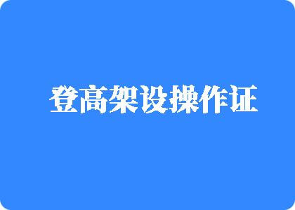 国产操广逼视频登高架设操作证